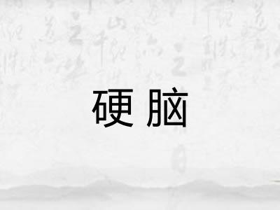 硬脑 硬脑