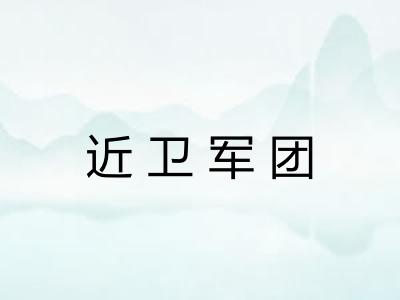 近卫军团 近卫军团