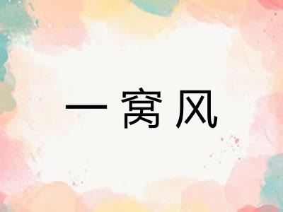 一窝风 一窝风