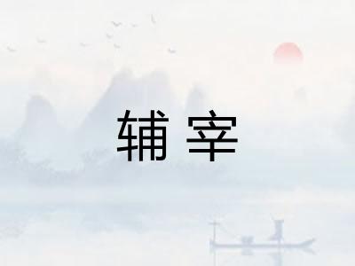 辅宰