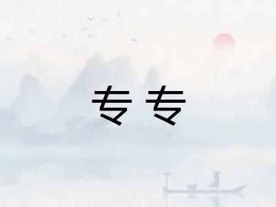 专专