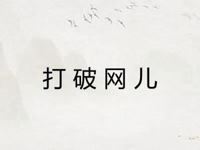 打破网儿 打破网儿