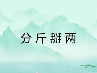 分斤掰两 分斤掰两
