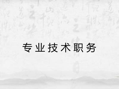 专业技术职务 专业技术职务
