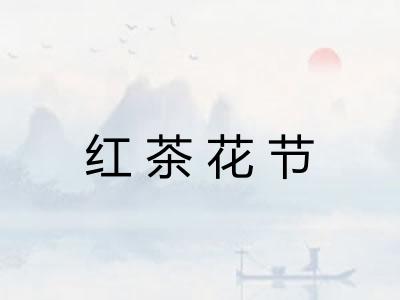 红茶花节