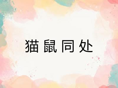 猫鼠同处 猫鼠同处