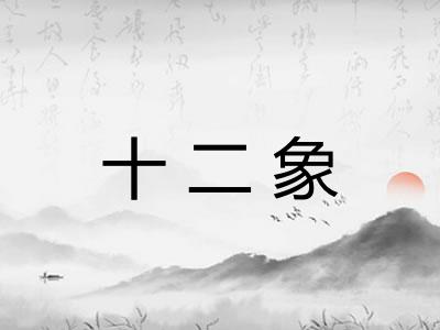 十二象