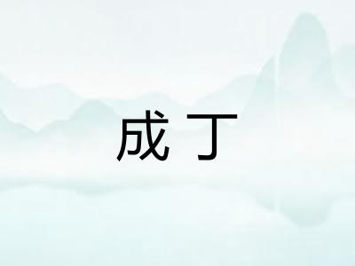 成丁 成丁