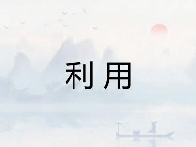 利用