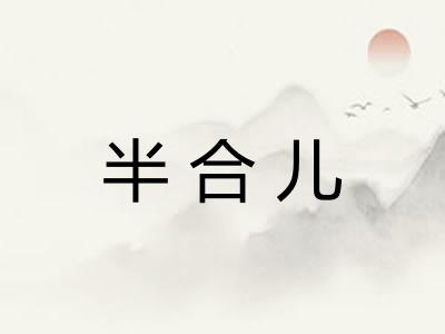 半合儿
