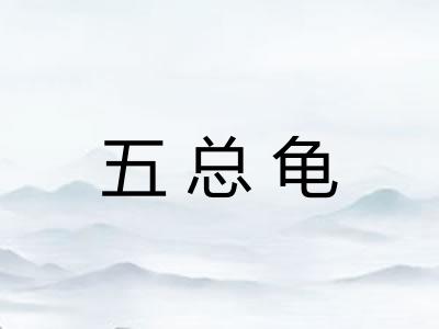 五总龟