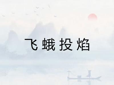 飞蛾投焰 飞蛾投焰