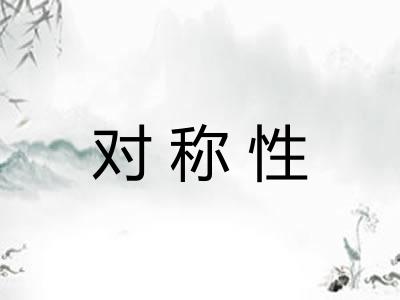 对称性 对称性