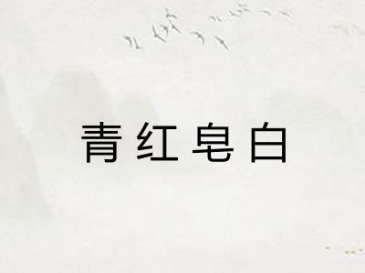 青红皂白 青红皂白