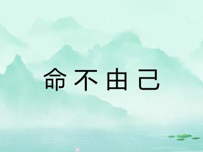 命不由己