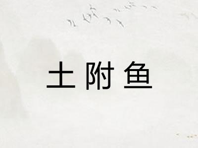 土附鱼