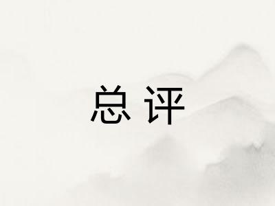 总评