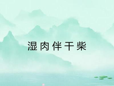 湿肉伴干柴 湿肉伴干柴