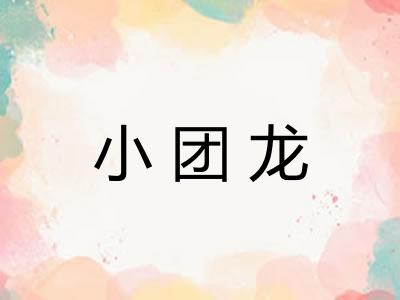 小团龙