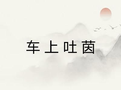 车上吐茵