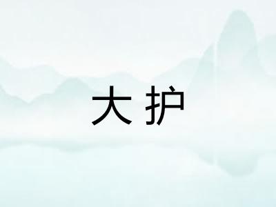 大护