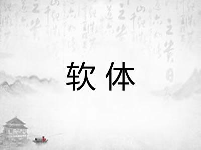 软体