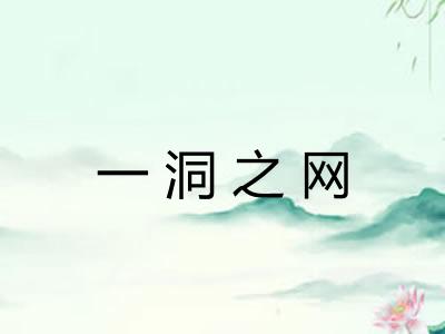 一洞之网 一洞之网