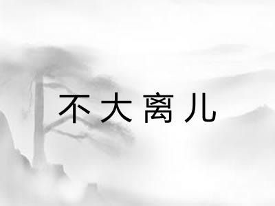 不大离儿