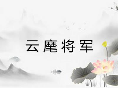 云麾将军