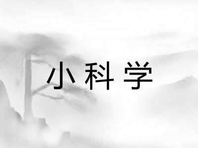 小科学