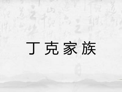 丁克家族 丁克家族