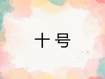 十号