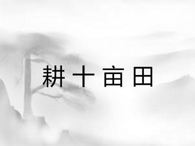 耕十亩田