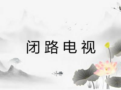 闭路电视 闭路电视