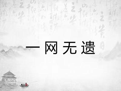 一网无遗