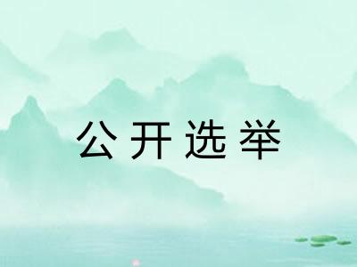 公开选举 公开选举