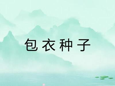 包衣种子 包衣种子