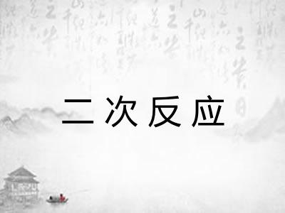 二次反应