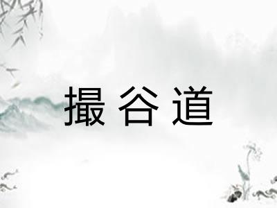 撮谷道