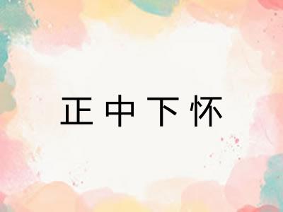 正中下怀