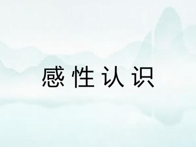 感性认识 感性认识