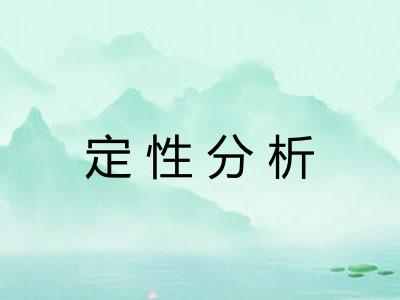 定性分析
