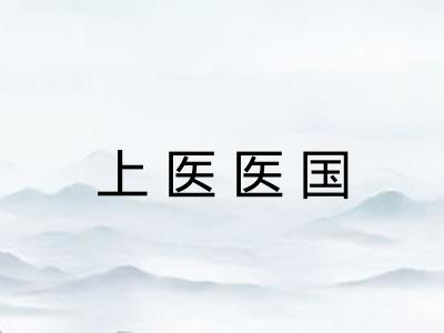 上医医国 上医医国