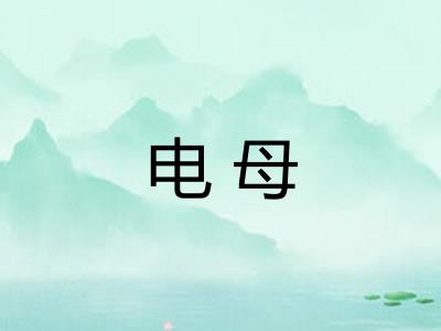 电母