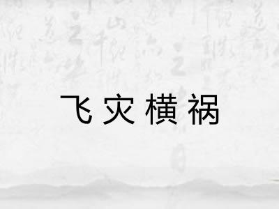 飞灾横祸