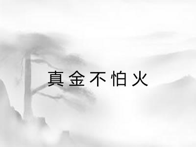 真金不怕火