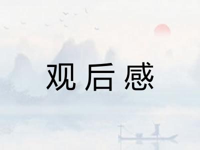 观后感