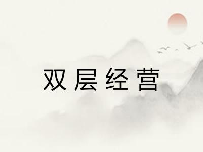 双层经营