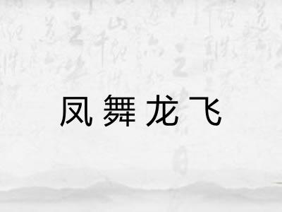 凤舞龙飞