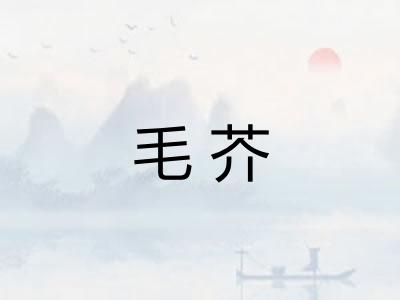 毛芥 毛芥